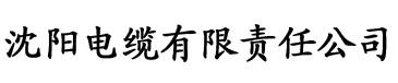 污黄樱桃视频电缆厂logo